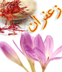 همايش بين المللي زعفران داروي گياهي هزاره سوم 