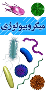 اولین نشست هم اندیشی متخصصین میکروبیولوژی ایران