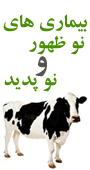 اولین همایش ملی بیماریهای نو ظهور و نو پدید دامپزشکی