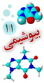 یازدهمین کنگره سراسری بیوشیمی