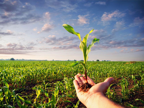 چهارمین همایش بین المللی مهندسی کشاورزی و محیط زیست با رویکرد توسعه پایدار
