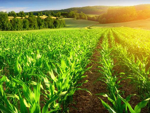 ششمین همایش بین المللی مهندسی کشاورزی و محیط زیست در جامعه