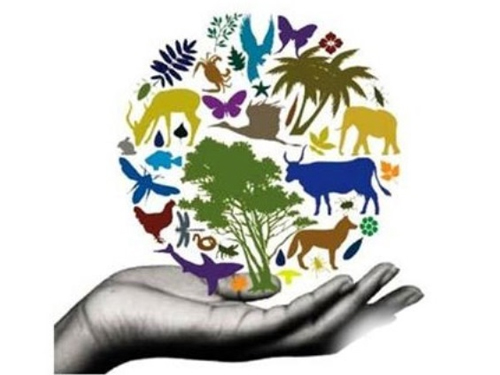 اولین همایش ملی تنوع زیستی