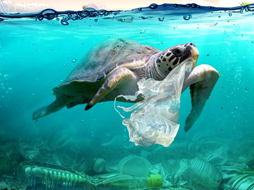 اولین سمینار ملی پلاستیک و محیط زیست