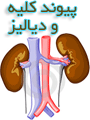 کنگره پرستاری پیوند کلیه و دیالیز