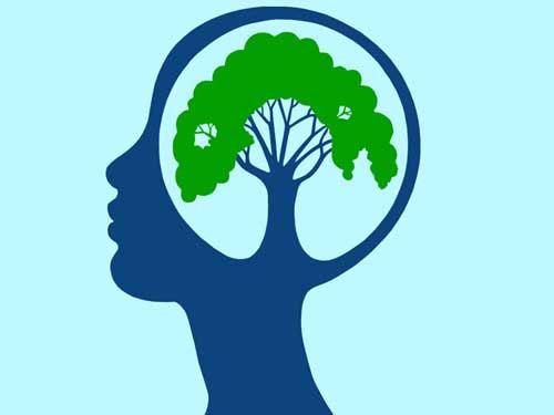 کنفرانس ملی رویکردهای نوین علوم انسانی در قرن 21