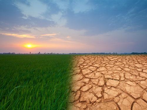 تغییر اقلیم و گاهشناسی درختی در اکوسیستم های خزری