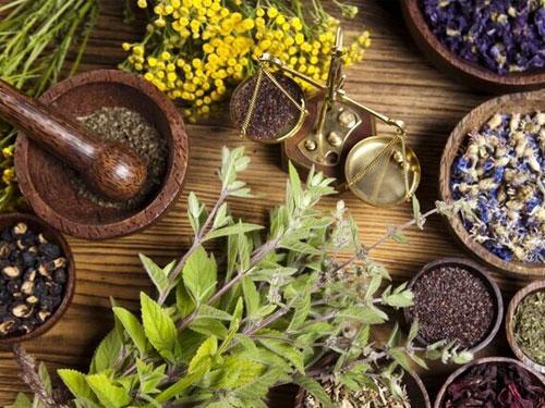 دوازدهمین همایش ملی گیاهان دارویی و کشاورزی پایدار