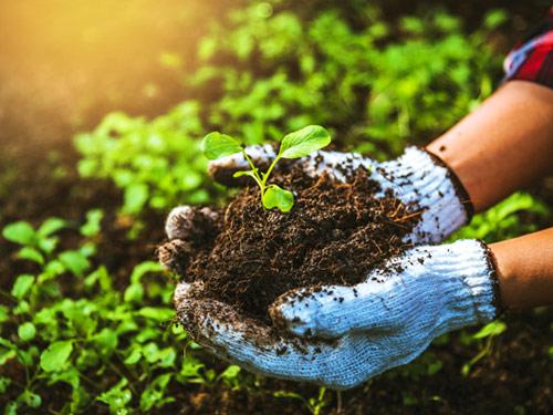 نهمین کنگره ملی علوم ترویج و آموزش کشاورزی، منابع‌ طبیعی و محیط زیست پایدار